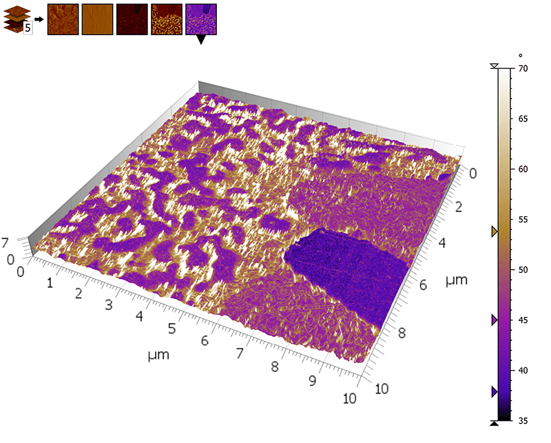 3D view of AFM multi-channel image