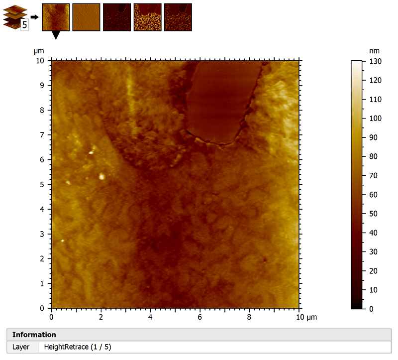 Multi-channel AFM data with phase and topography