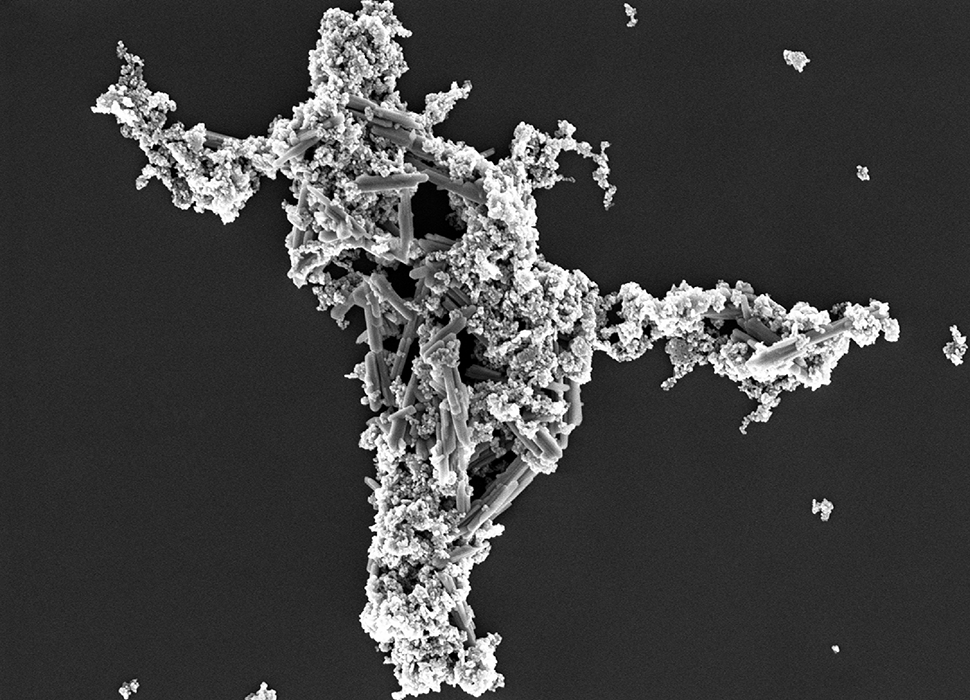 SEM image of a nanoparticle mixture