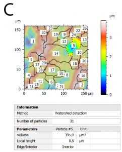 motif analysis tooth wear performed on the surface