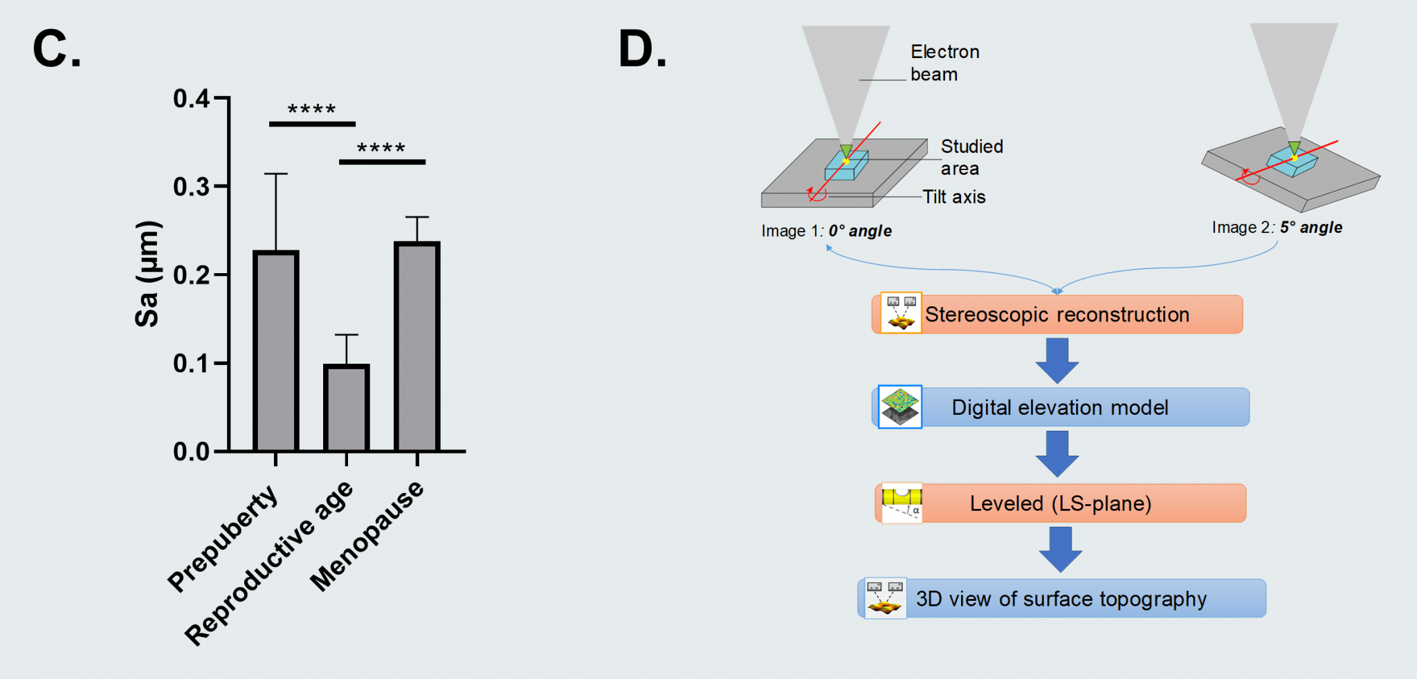 Using 3D reconstruction of SEM images to reverse-engineer the human ...