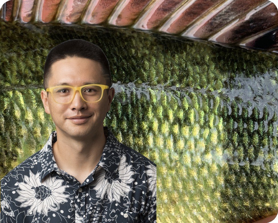 Imaging fish scale topography in situ Digital Surf